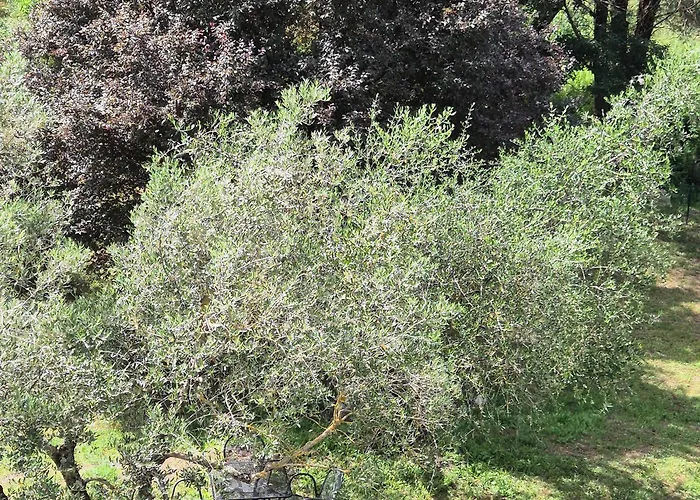 Lejlighed La Rosa Rossa San Casciano dei Bagni